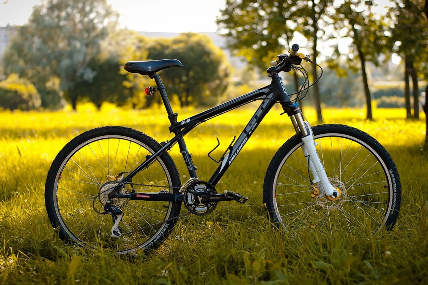 Gear Up for Adventure: Premier Tourist Equipment for Bicycle Trips